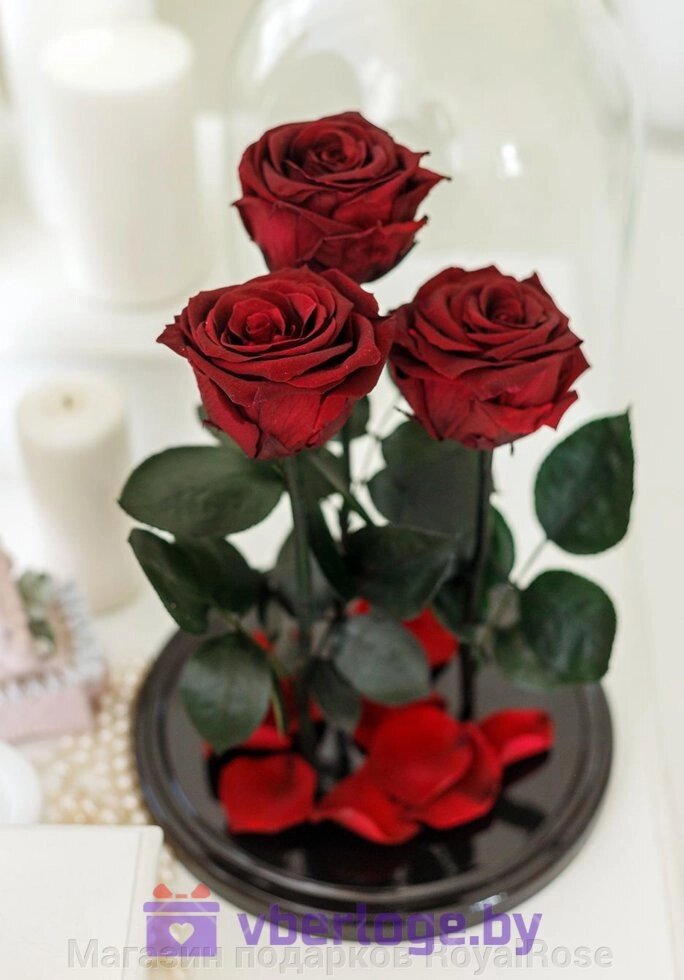 Композиция из трех роз в колбе Maroon Premium от компании Магазин подарков RoyalRose - фото 1