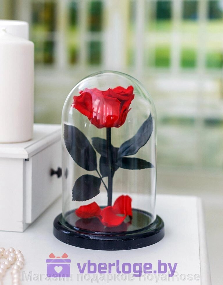 Красная роза в колбе 22 см, Romantic Red Mini от компании Магазин подарков RoyalRose - фото 1