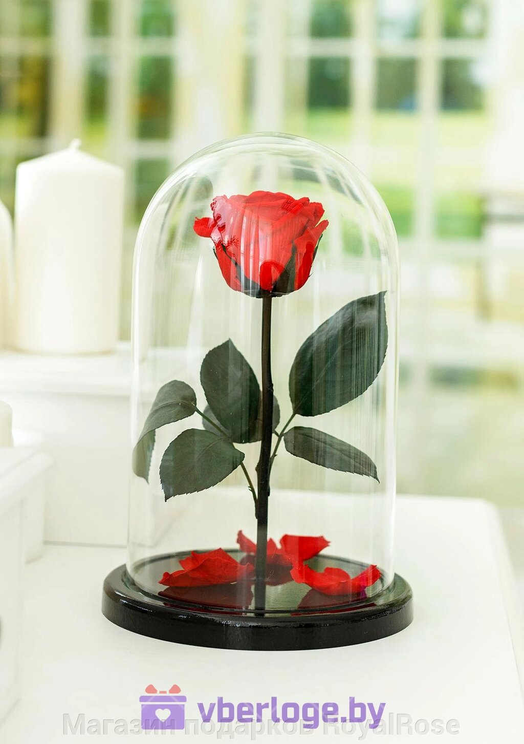 Красная роза в колбе 28 см, Romantic Red Elegant от компании Магазин подарков RoyalRose - фото 1