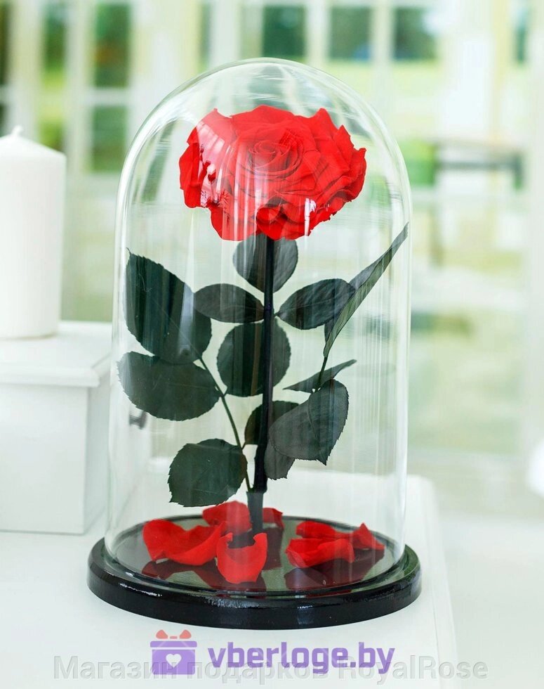 Красная роза в колбе 32 см, Romantic Red Vip от компании Магазин подарков RoyalRose - фото 1