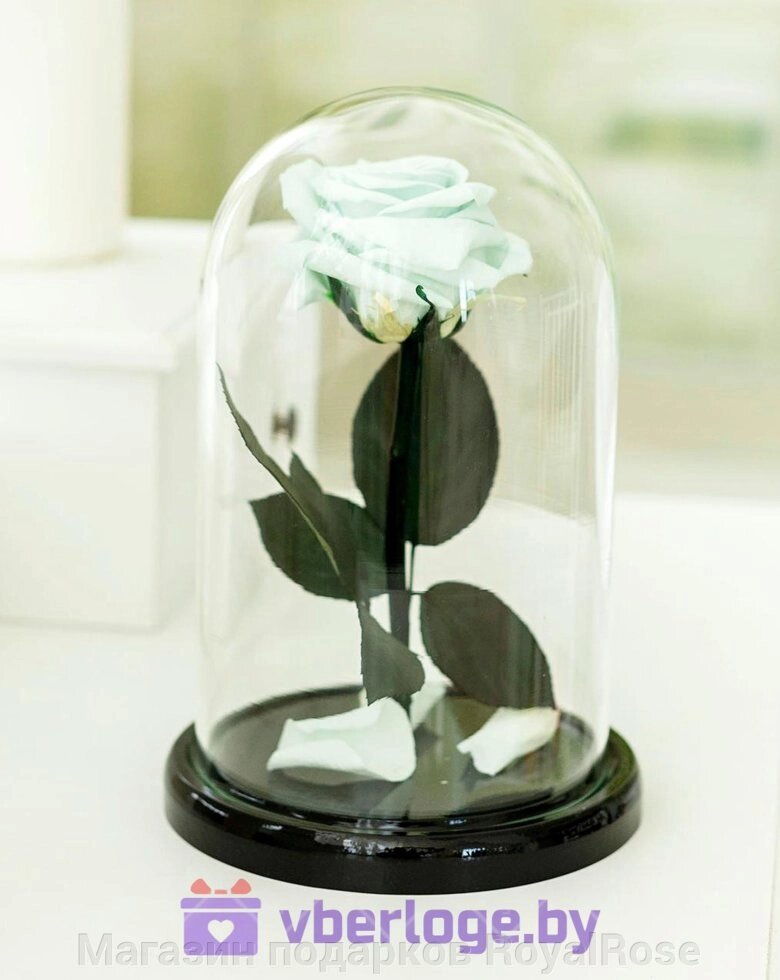 Ментоловая роза в колбе 22 см, Mint Mini от компании Магазин подарков RoyalRose - фото 1