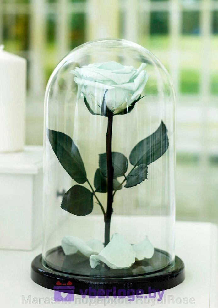 Ментоловая Роза в колбе 28 см, Mint Premium от компании Магазин подарков RoyalRose - фото 1