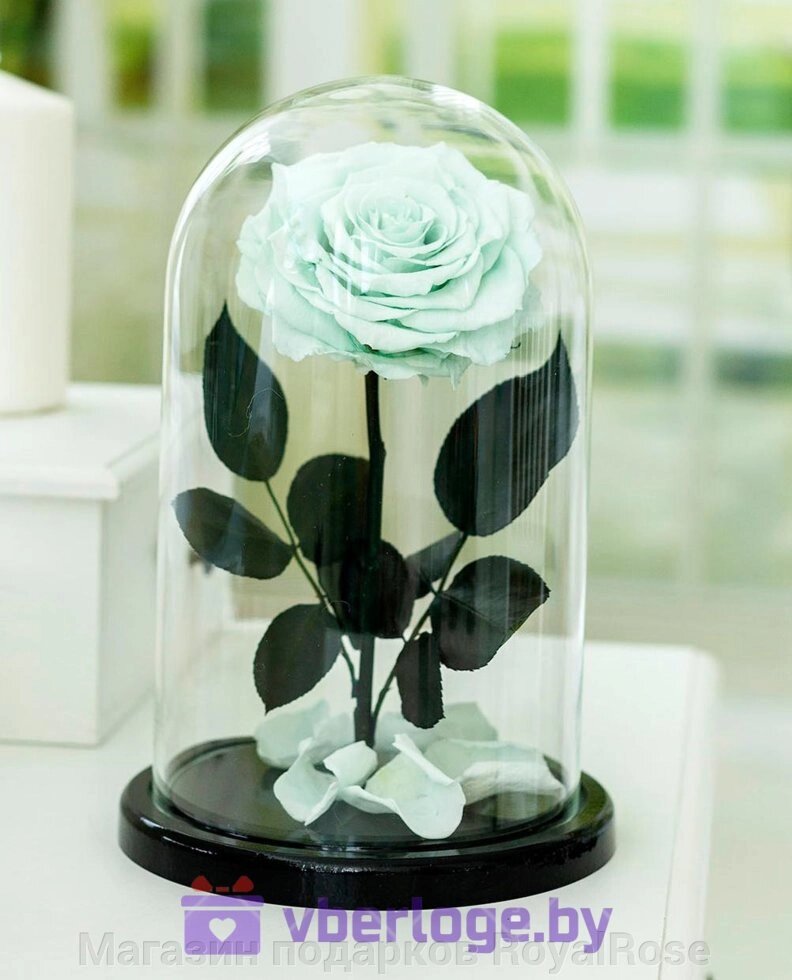 Минтоловая роза в колбе 28 см, Mint King от компании Магазин подарков RoyalRose - фото 1