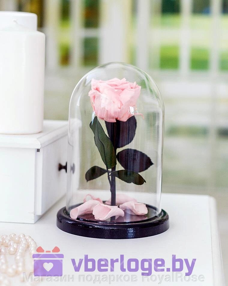Нежно-розовая роза в колбе 22 см, Pretty Pink Mini от компании Магазин подарков RoyalRose - фото 1