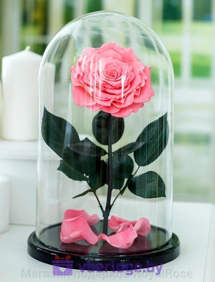 Нежно-розовая роза в колбе 32 см, Pretty Pink Vip от компании Магазин подарков RoyalRose - фото 1