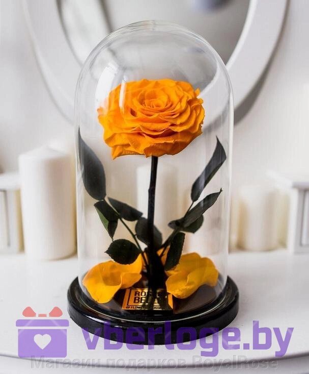 Оранжевая роза в колбе 28 см, Light Orange King от компании Магазин подарков RoyalRose - фото 1
