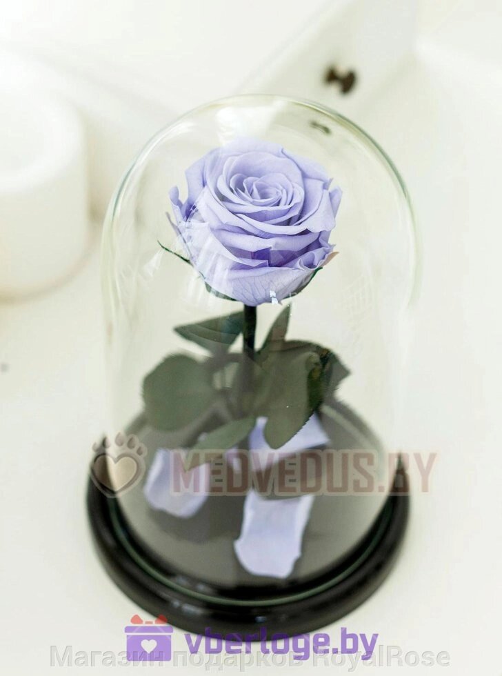 Роза в колбе 28 см, Lilac Premium - характеристики