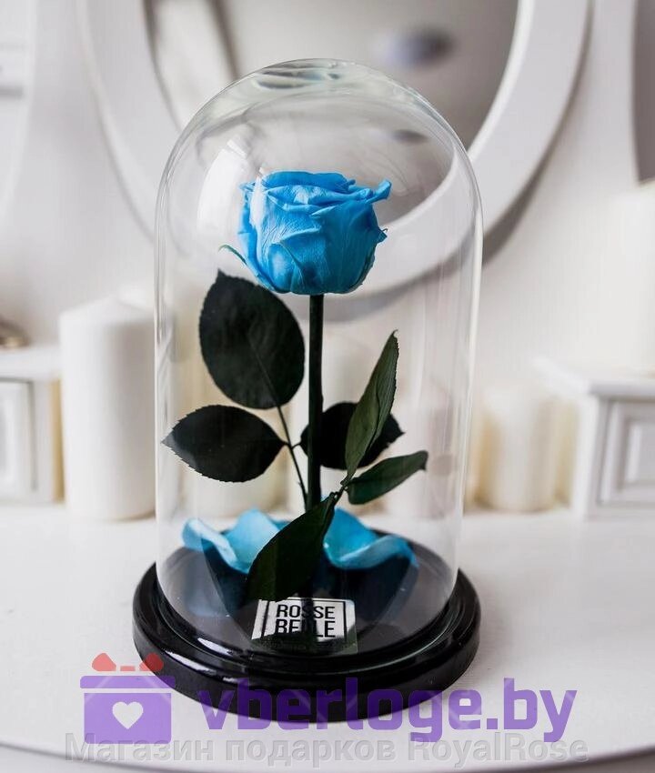 Роза в колбе 28 см, Baby Blue Premium - распродажа