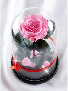 Роза в колбе 28 см, Pretty Pink Premium