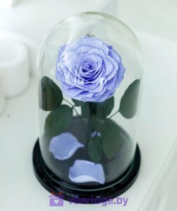 Сиреневая роза в колбе 28 см, Lilac King
