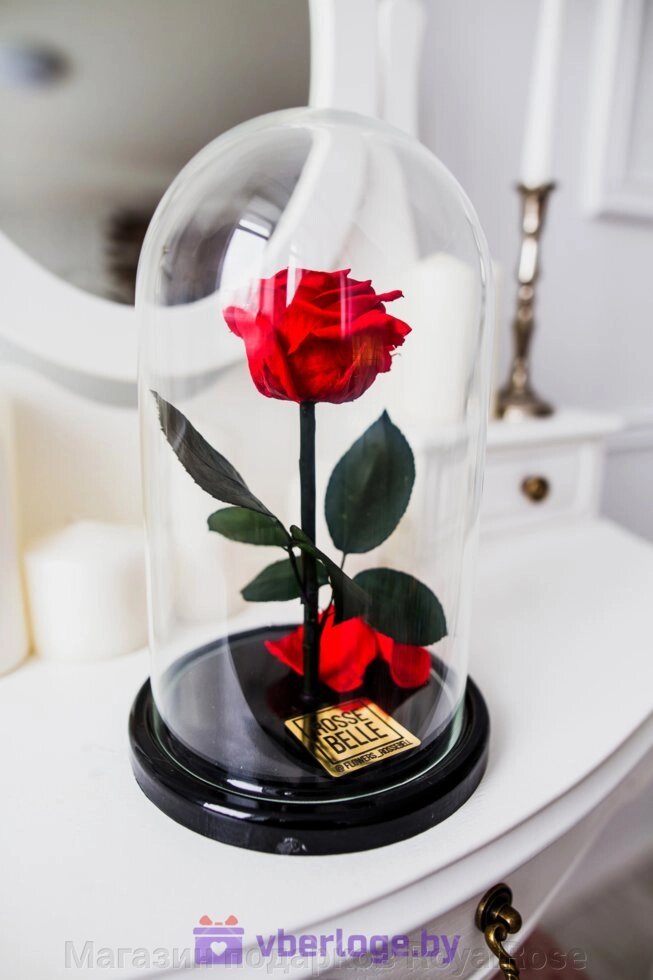 Роза в колбе 28 см, Romantic Red Premium - акции
