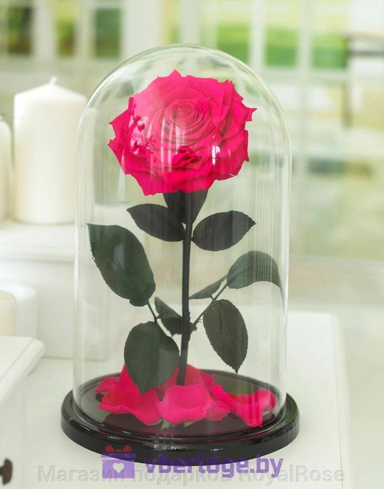 Ярко-розовая роза в колбе 32 см, Magenta Vip - интернет магазин