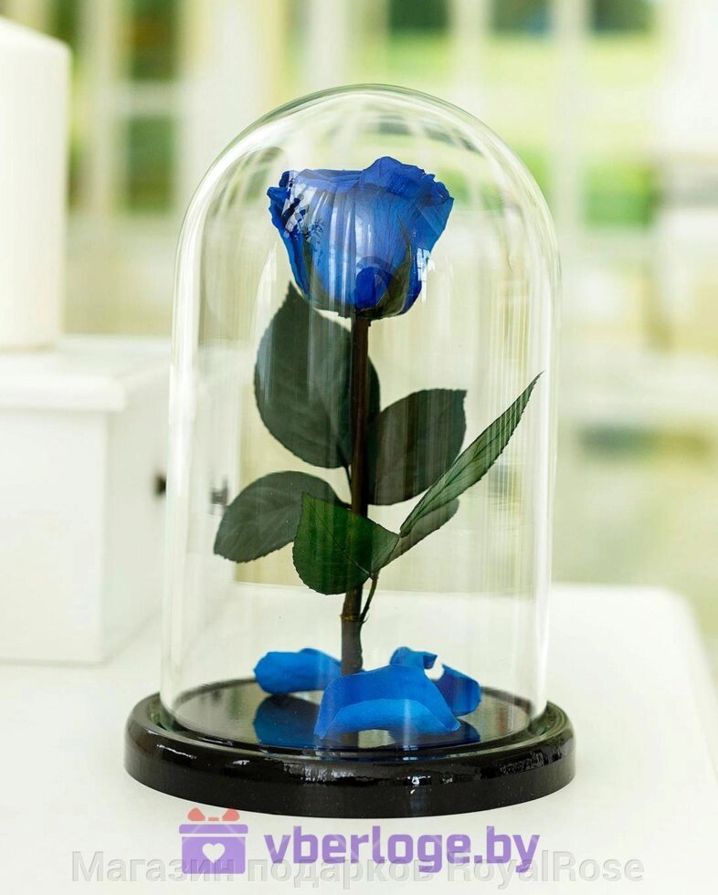Синяя вечная роза 22 см, Royal Blue Mini - выбрать