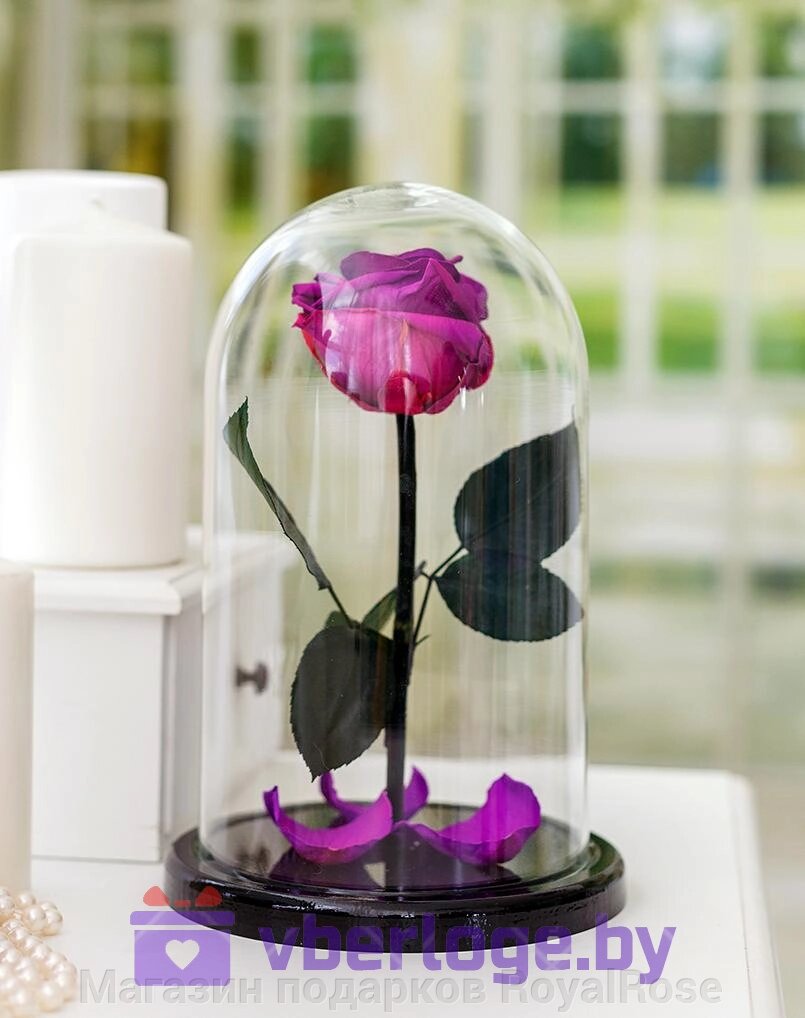 Роза в колбе 28 см, Dark Violett Elegant от компании Магазин подарков RoyalRose - фото 1