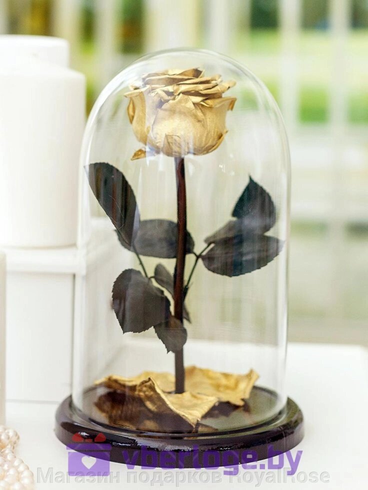 Роза в колбе 28 см, Gold Edition Premium от компании Магазин подарков RoyalRose - фото 1