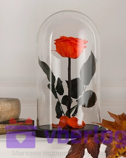 Роза в колбе 28 см, Light Orange Elegant от компании Магазин подарков RoyalRose - фото 1