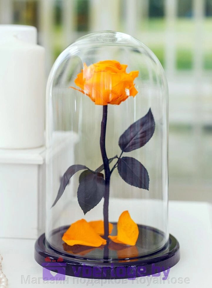 Роза в колбе 28 см, Light Orange Premium от компании Магазин подарков RoyalRose - фото 1