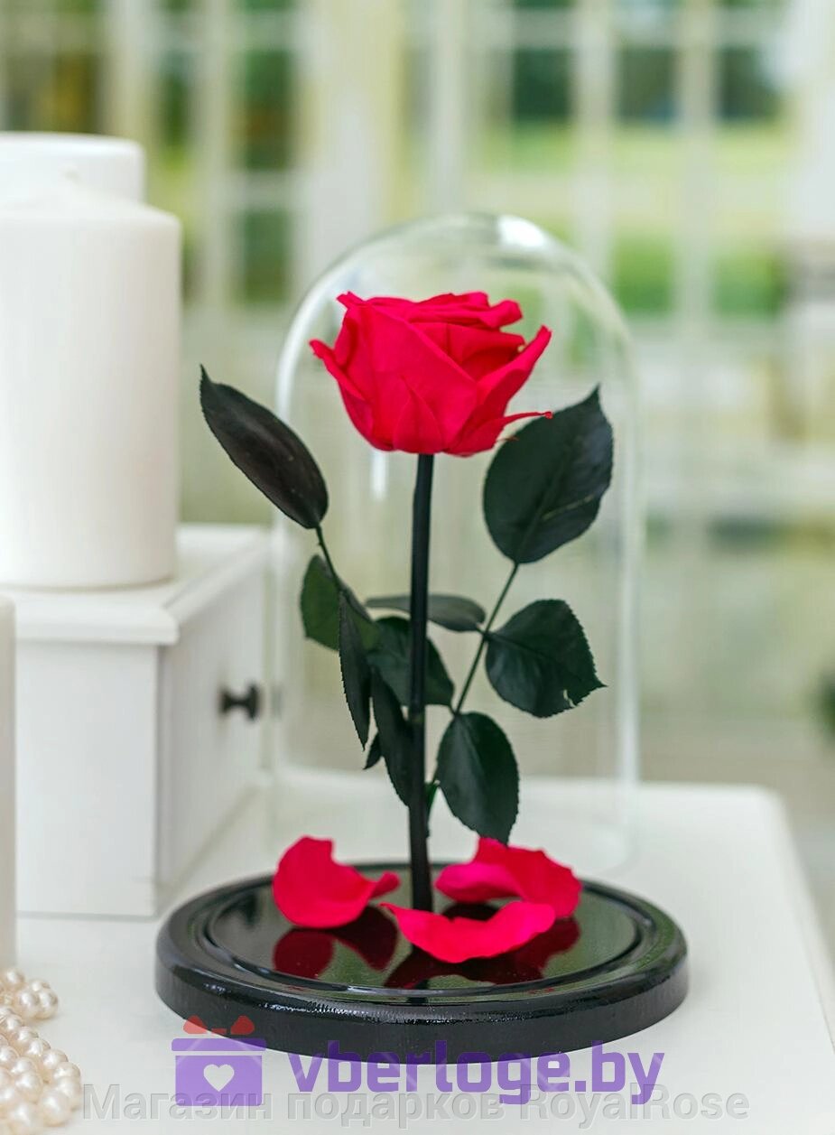 Роза в колбе 28 см, Magenta Elegant от компании Магазин подарков RoyalRose - фото 1