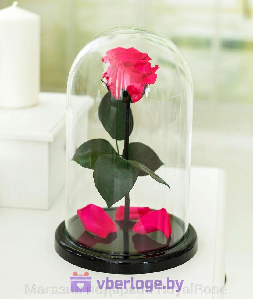 Роза в колбе 28 см, Magenta Premium от компании Магазин подарков RoyalRose - фото 1