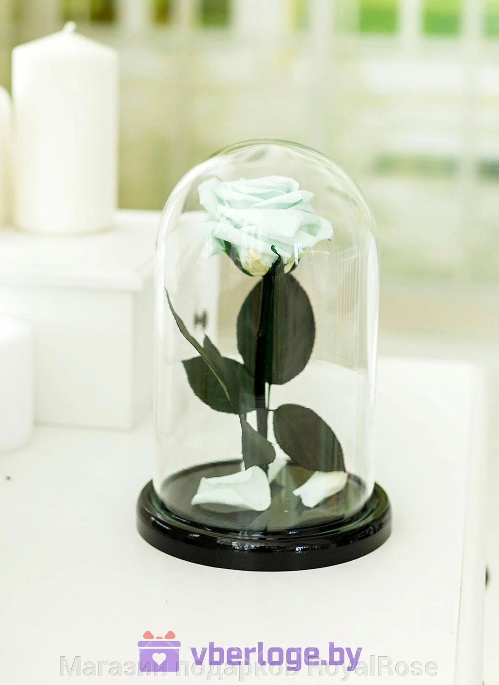 Роза в колбе 28 см, Mint Elegant от компании Магазин подарков RoyalRose - фото 1