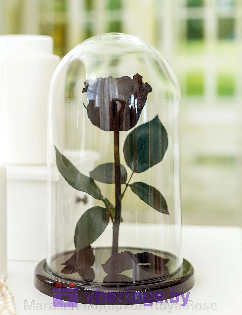Роза в колбе 28 см, Noir Sable Elegant от компании Магазин подарков RoyalRose - фото 1