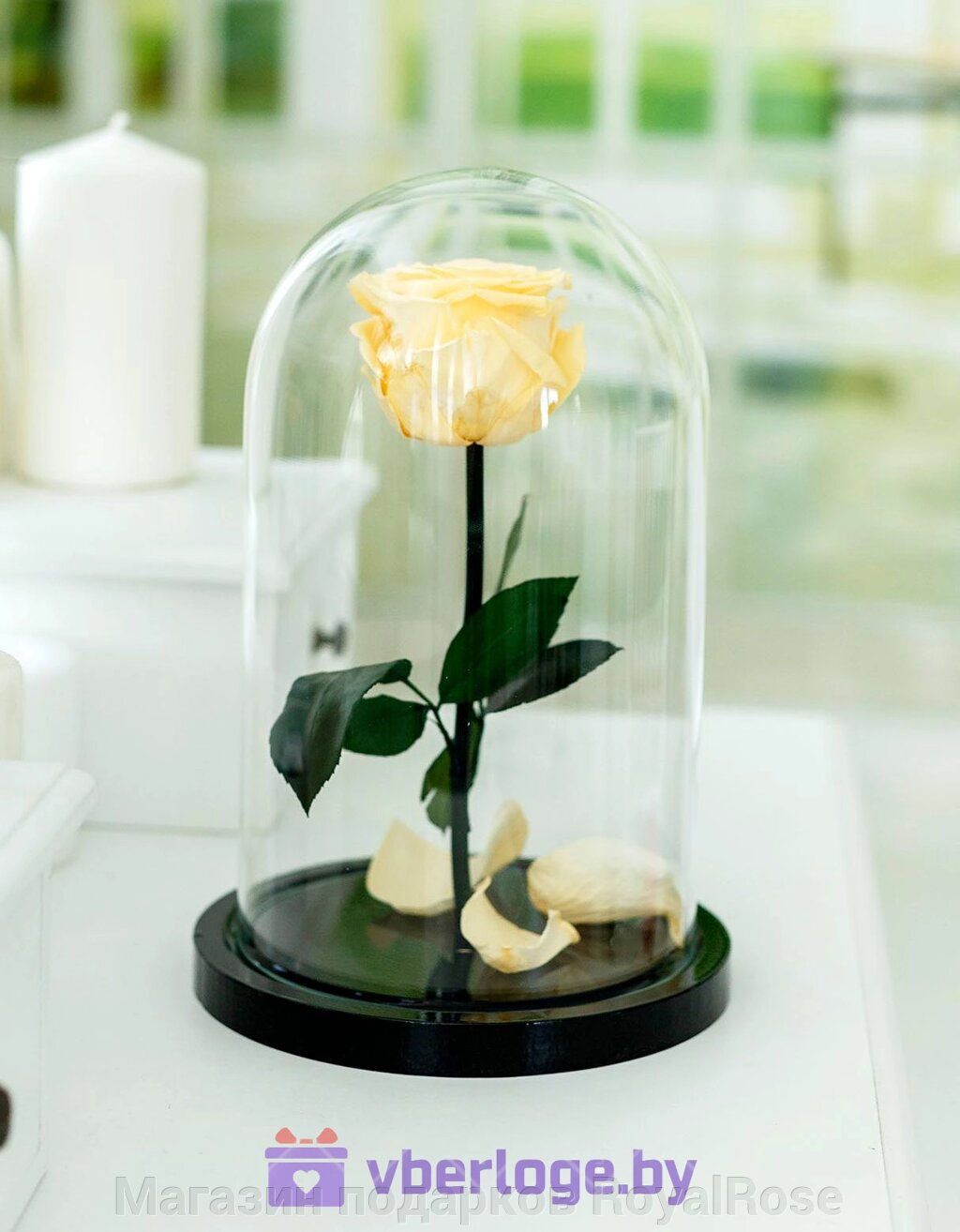 Роза в колбе 28 см, Peach Elegant от компании Магазин подарков RoyalRose - фото 1