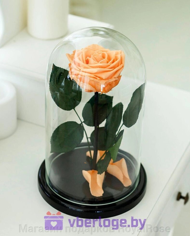 Роза в колбе 28 см, Peach Premium от компании Магазин подарков RoyalRose - фото 1