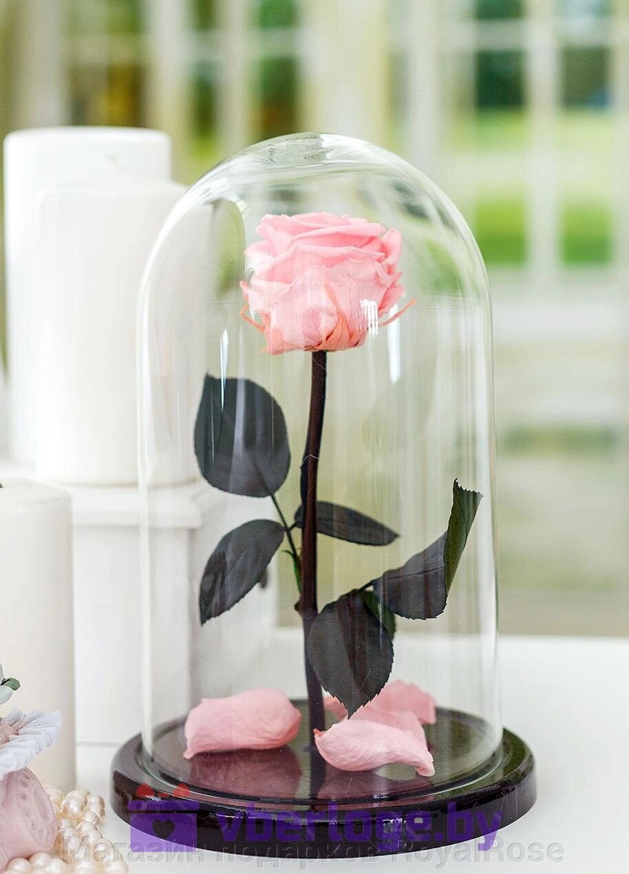 Роза в колбе 28 см, Pretty Pink Elegant от компании Магазин подарков RoyalRose - фото 1