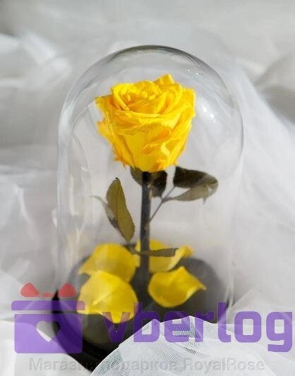 Роза в колбе 28 см, Sunny Premium от компании Магазин подарков RoyalRose - фото 1