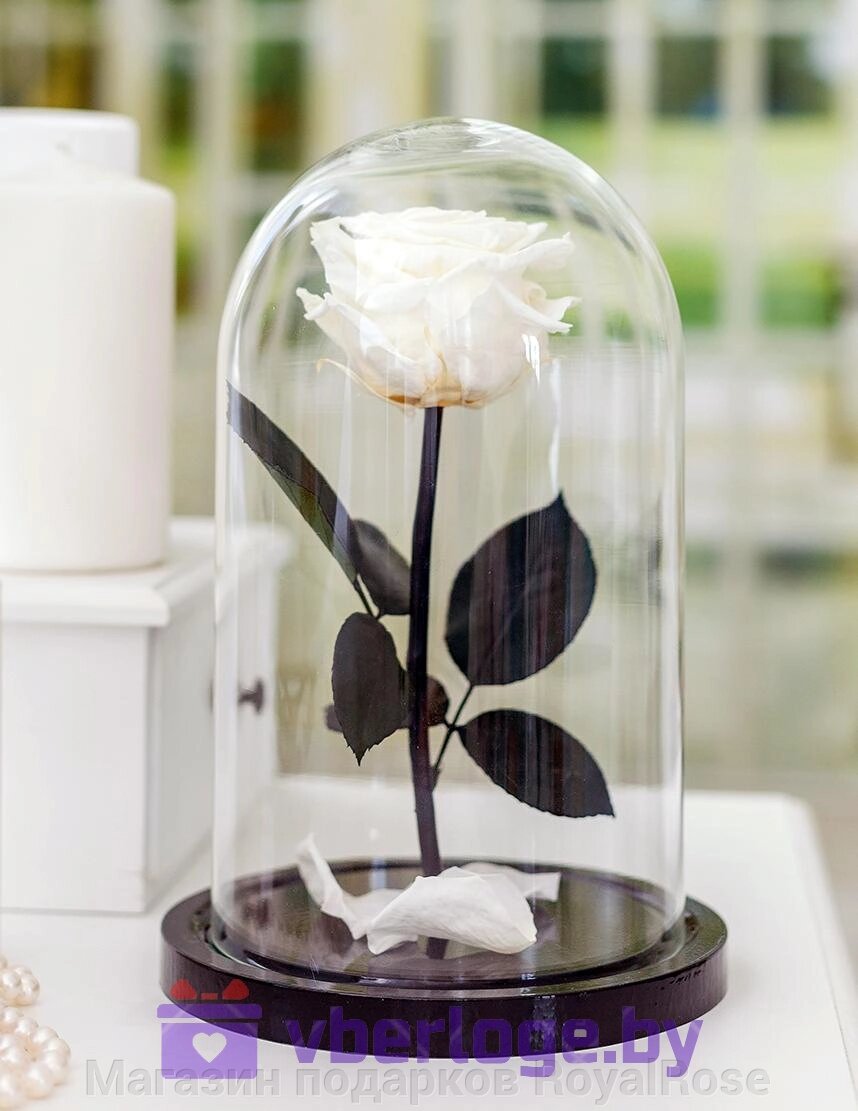 Роза в колбе 28 см, White Pearl Elegant от компании Магазин подарков RoyalRose - фото 1