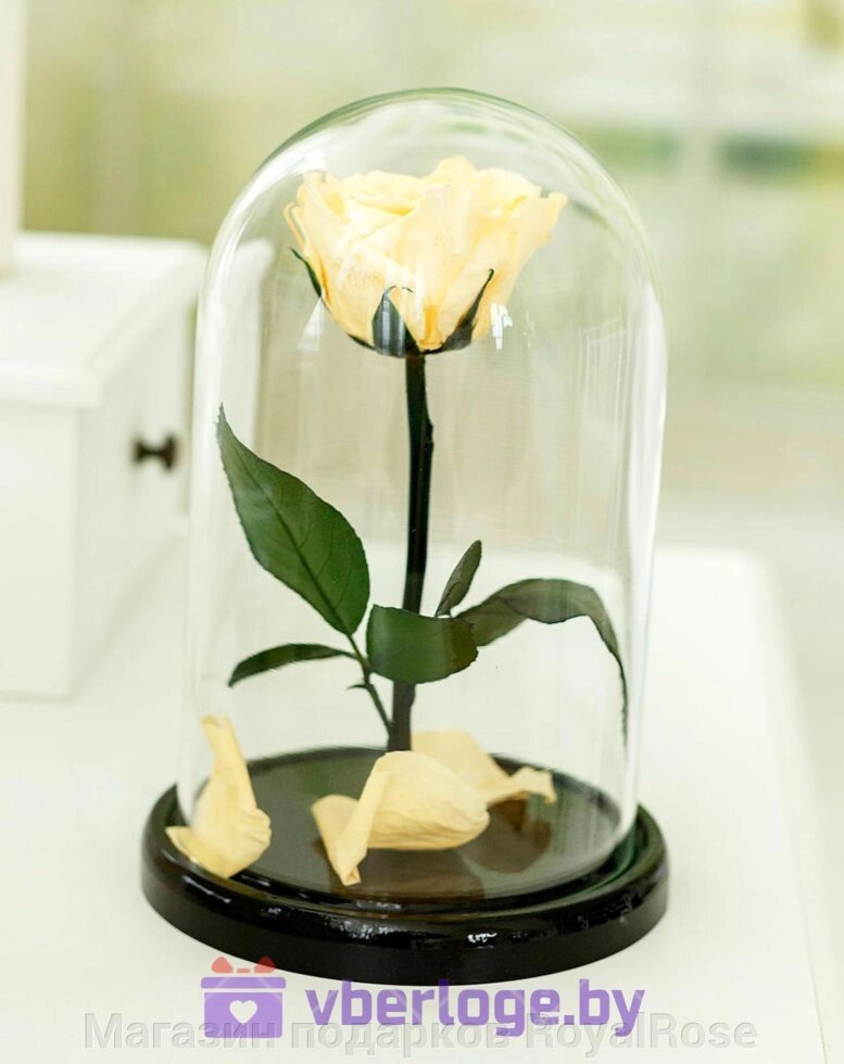 Роза в колбе цвета шампань 22 см, Shampan Mini от компании Магазин подарков RoyalRose - фото 1