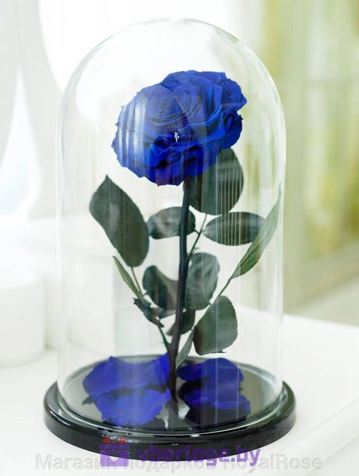 Синяя роза в колбе 32 см, Royal Blue Vip от компании Магазин подарков RoyalRose - фото 1
