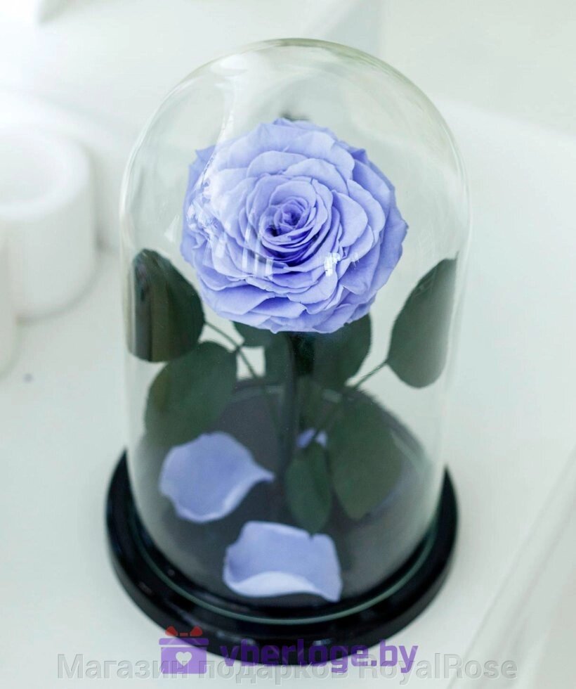 Сиреневая роза в колбе 28 см, Lilac King от компании Магазин подарков RoyalRose - фото 1
