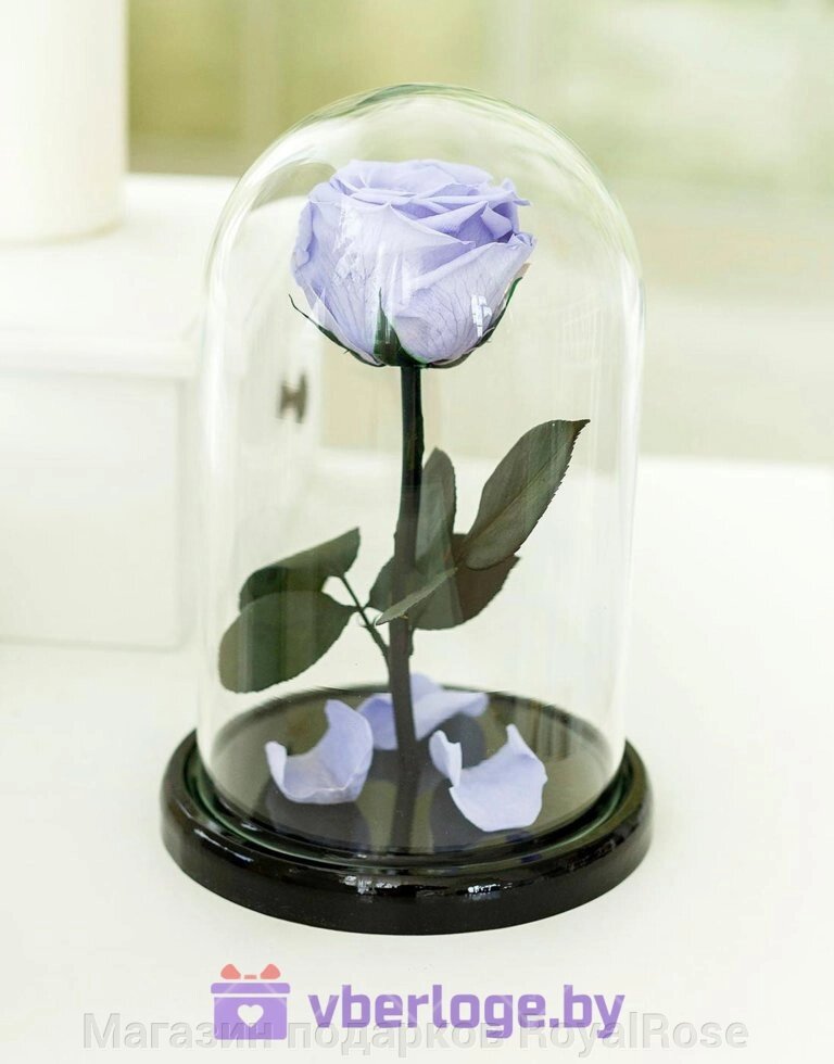 Сиреневая вечная роза 22 см, Lilac Mini от компании Магазин подарков RoyalRose - фото 1