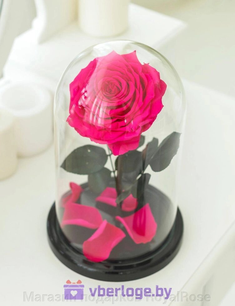 Ярко-розовая роза в колбе 28 см, Magenta King от компании Магазин подарков RoyalRose - фото 1