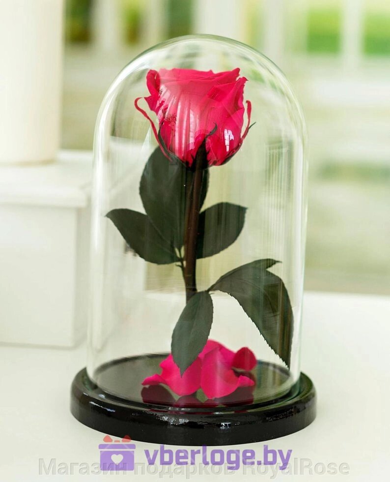Ярко-розовая вечная роза 22 см, Magenta Mini от компании Магазин подарков RoyalRose - фото 1