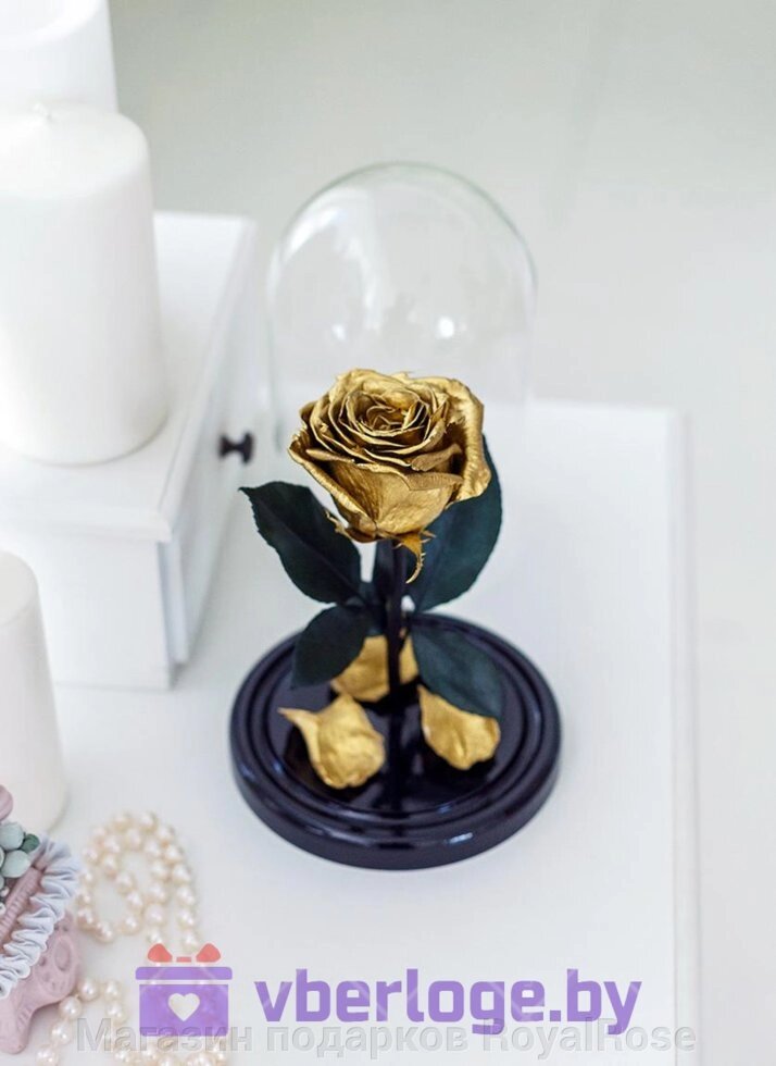 Золотая роза в колбе 22 см, Gold Edition от компании Магазин подарков RoyalRose - фото 1