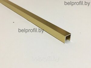 Бордюр-фриз для плитки, золото глянец, п-10х10, 270 см