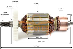 Ротор (якорь) для циркулярной пилы Интерскол ДП-210/1900М. Аналог 98.04.02.01.00