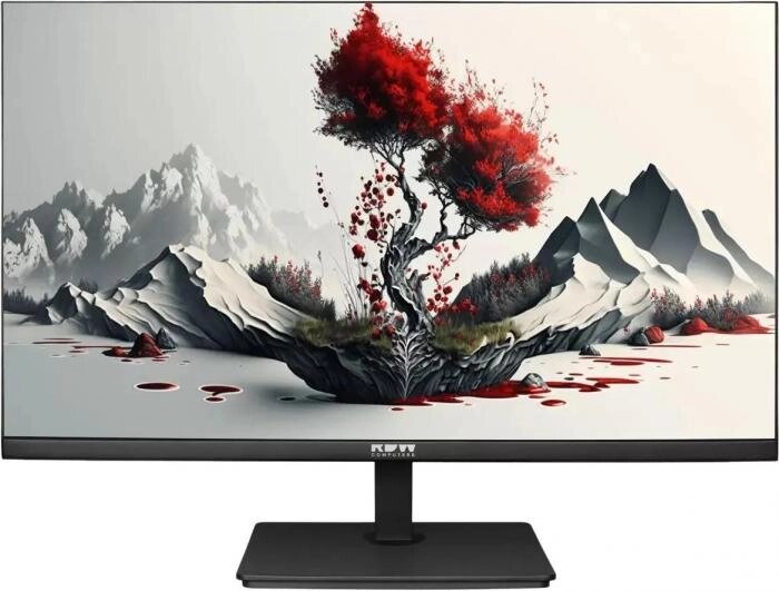 23.8" Монитор RDW COMPUTERS RDW2401K,  "R", 1920x1080,  IPS,  1хHDMI,  черный [2401k/f00в0100v2a1h] от компании 2255 by - онлайн гипермаркет - фото 1