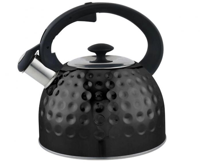 Чайник со свистком для газовой и индукционной плиты 2 литра нержавеющая сталь RELICE RL-2504 черный от компании 2255 by - онлайн гипермаркет - фото 1