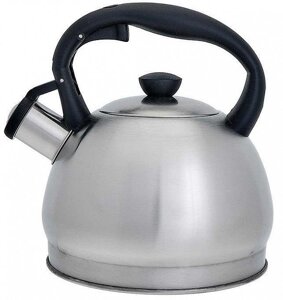 Чайник со свистком для газовой и индукционной плиты 2 литра нержавеющая сталь WEBBER BE-0578