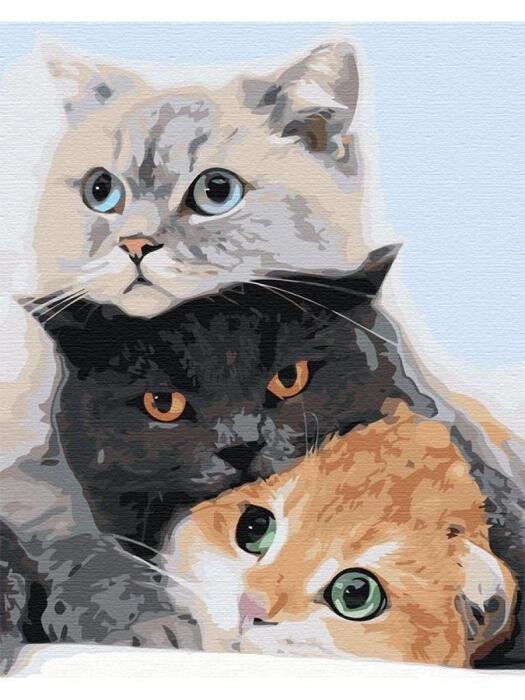 Картина по номерам кот Три кота Животные Кошки на холсте 40х50 Живопись для детей от компании 2255 by - онлайн гипермаркет - фото 1