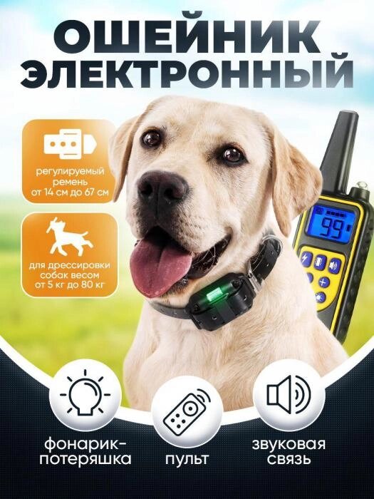 Ошейник для собак электронный светящийся антилай для дрессировки от компании 2255 by - онлайн гипермаркет - фото 1