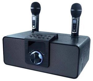 Портативная акустическая система с Bluetooth караоке колонка 2 микрофона RITMIX SP-660B черный