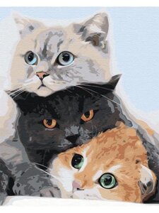 Картина по номерам кот Три кота Животные Кошки на холсте 40х50 Живопись для детей