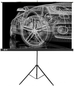 Проекционный экран CACTUS Triscreen CS-PST-124x221