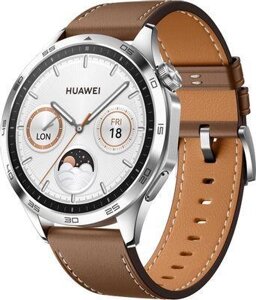 Смарт-часы Huawei Watch GT 4 Phoinix-B19L, 46мм, 1.43", коричневый/серебристый [55020bgx]