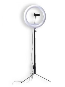 Светодиодная кольцевая led лампа для селфи съемки визажиста Fujimi FJL-RING12M 1678 освещение