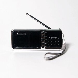 Портативный радиоприемник Сигнал РП-226 BТ цифровой приемник